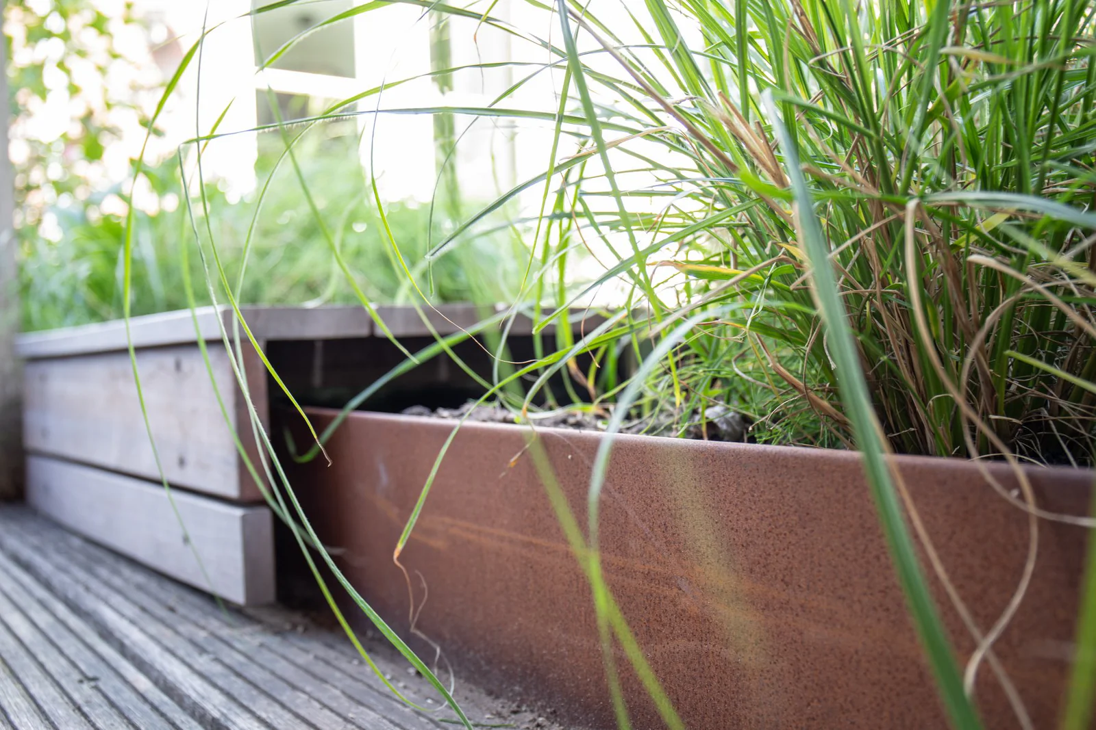 Cultivate Your Perfect Outdoor Oasis