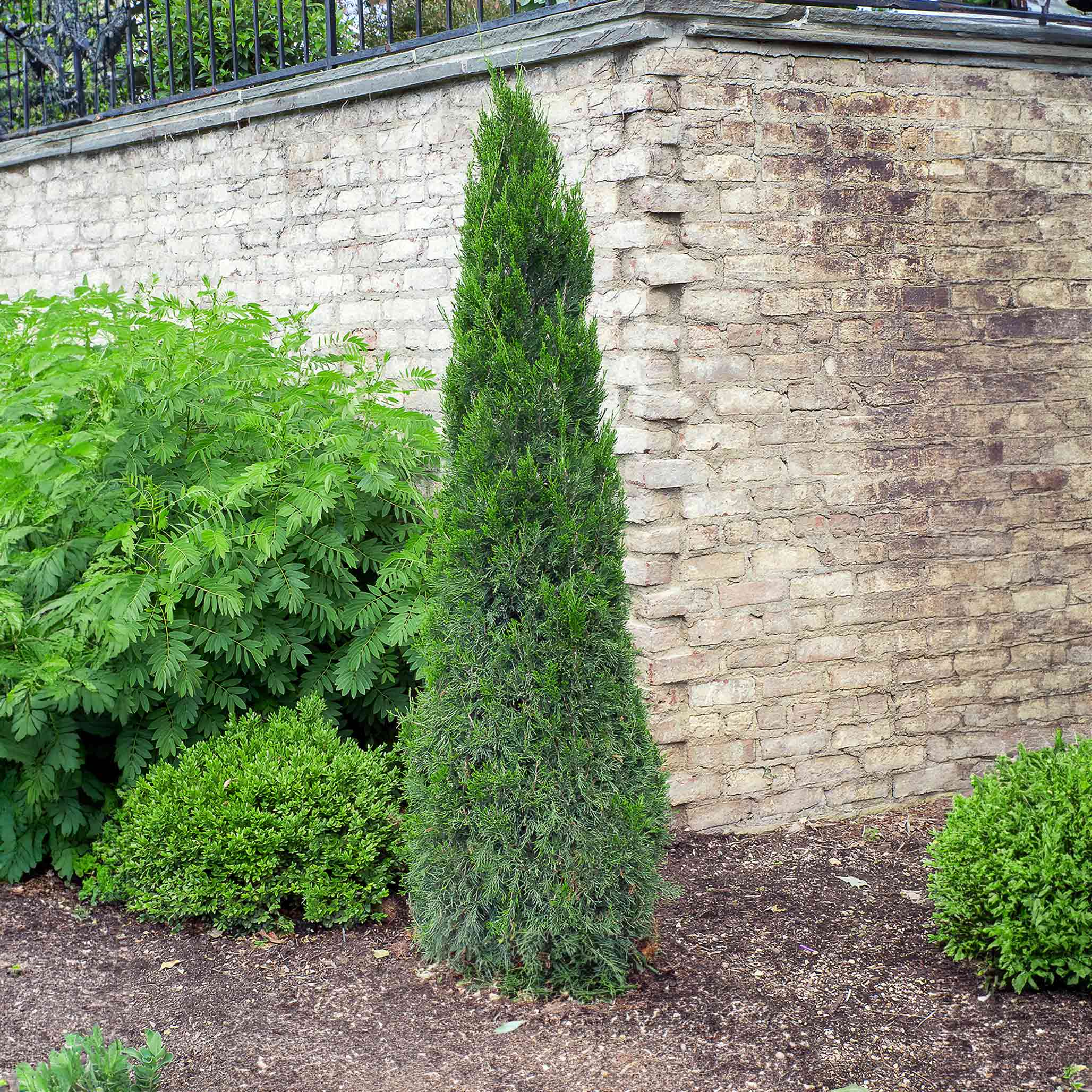Zone 5